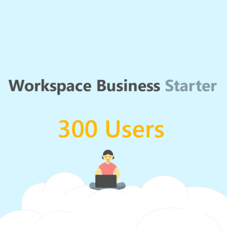 300 users google workspace business starter account.